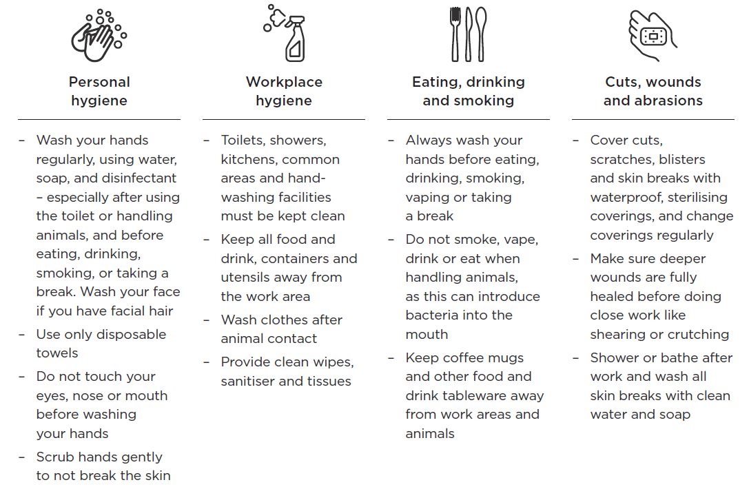 [image] Leptospirosis – hygiene