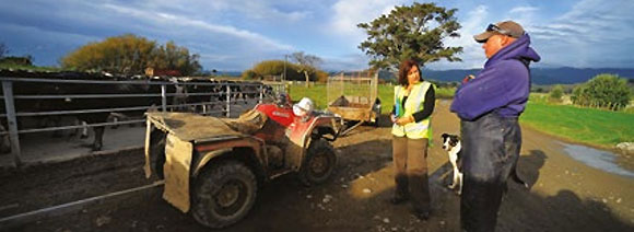 [image] Farmer talking to a friend, with a quad bike, farm dog and penned cows in the background