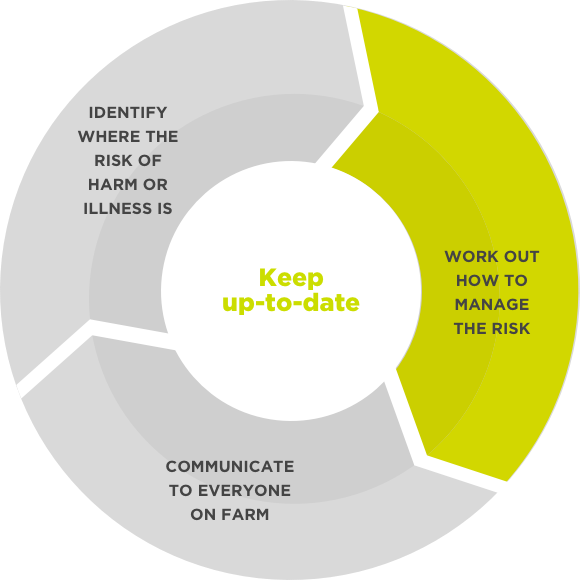 [image] Diagram showing risk management cycle