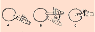 [Image] Three stages of the boring cut, with each stage showing a sliced view of a tree and chainsaw position; arrows indicate movement of the blade. 